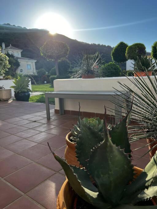 Ruim Appartement, Zonnig Terras, Alhaurin Golf! Alhaurín el Grande Extérieur photo